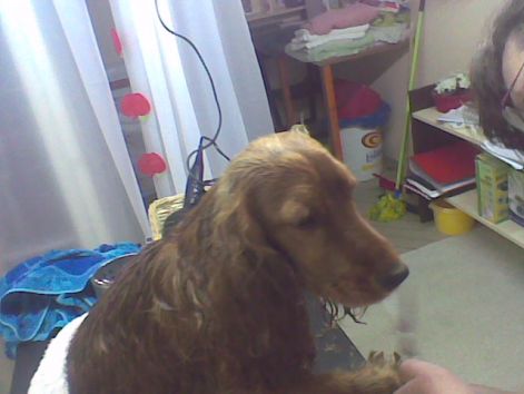 2010.05.31..jpg