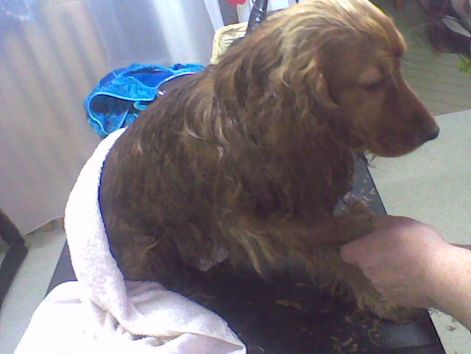 2010.05.31.jpg