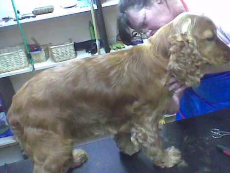 2010.05_31.jpg