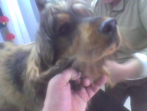 2010.06.01.jpg
