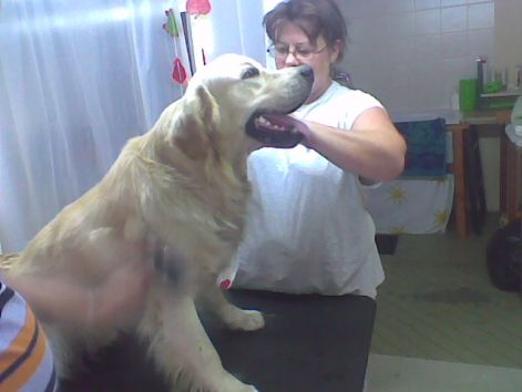 2010_08_17.jpg